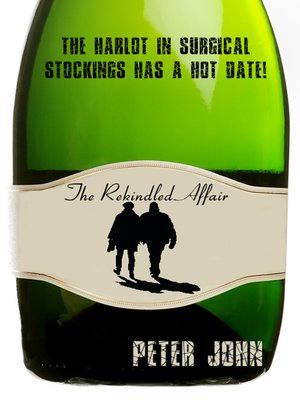 cover image of The Rekindled Affair